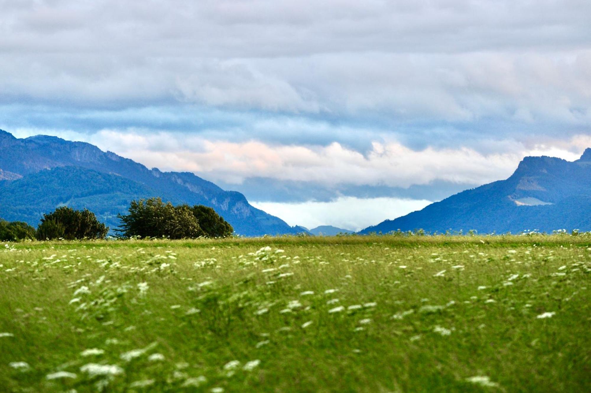 Zuhaeusl Am Chiemsee Appartements ไบรท์บรุนน์ อัม คีมเซ ภายนอก รูปภาพ